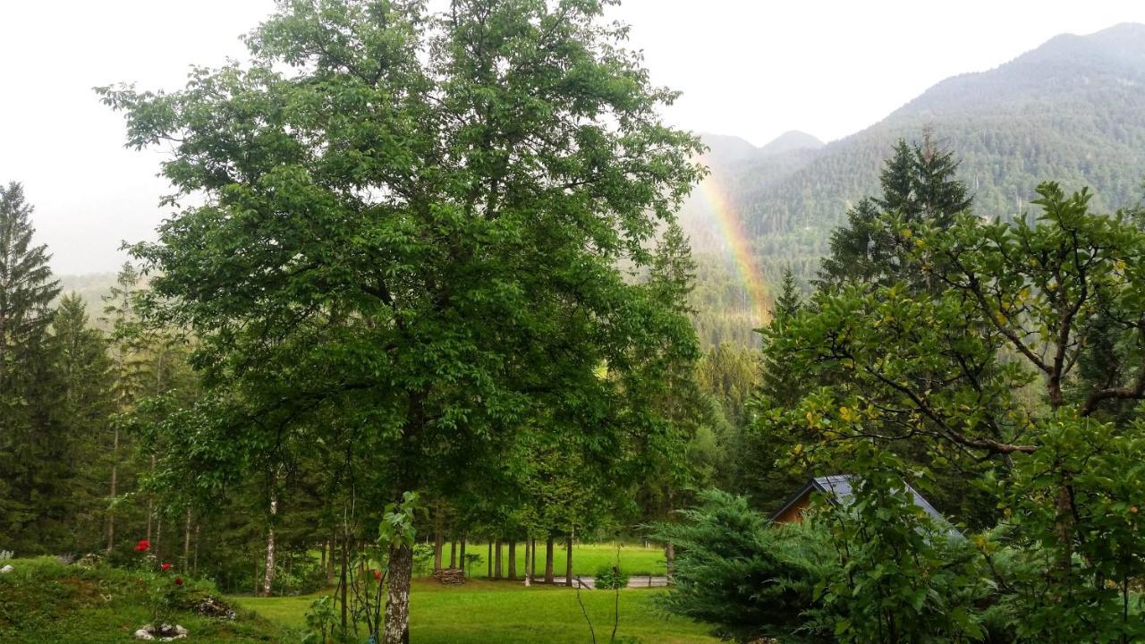 Pocitniska Hisa Eros Villa Bohinj Bagian luar foto