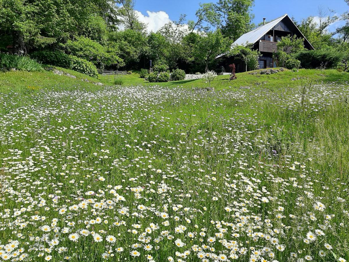 Pocitniska Hisa Eros Villa Bohinj Bagian luar foto